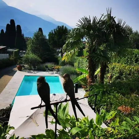 Un'oasi Romantica Con Piscina Apartment Gravedona