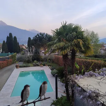 Un'oasi Romantica Con Piscina شقة *
