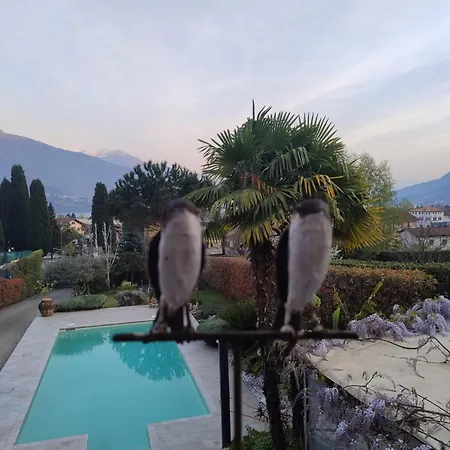 Un'oasi Romantica Con Piscina