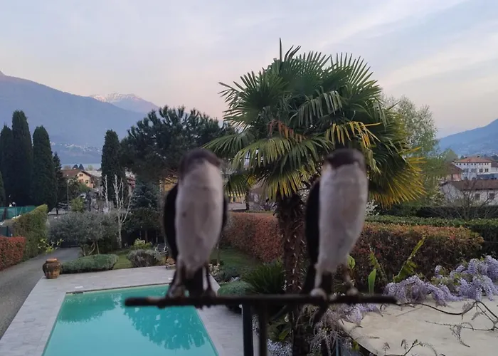 Vacation In With Pool